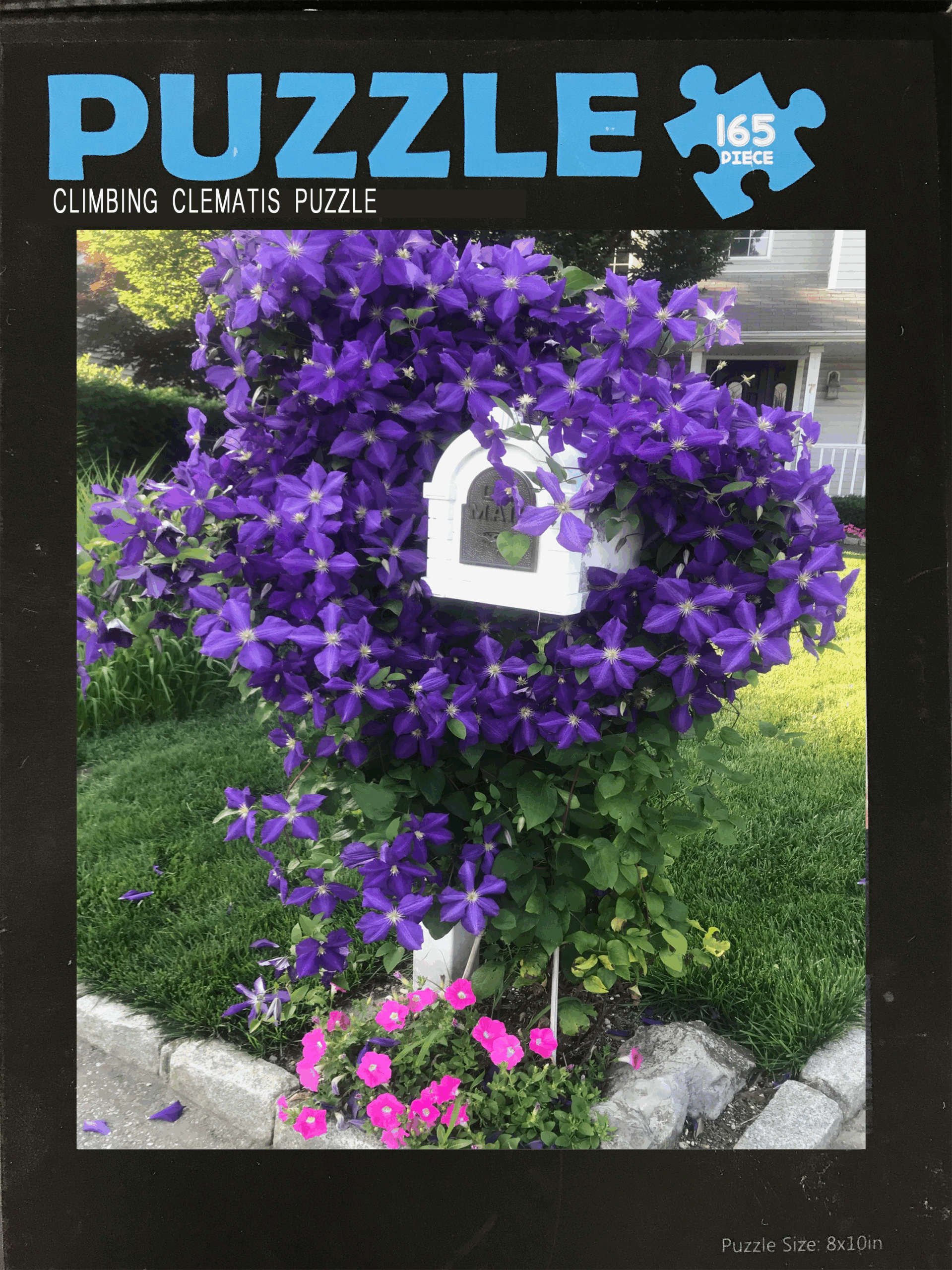 Climbing Clematis